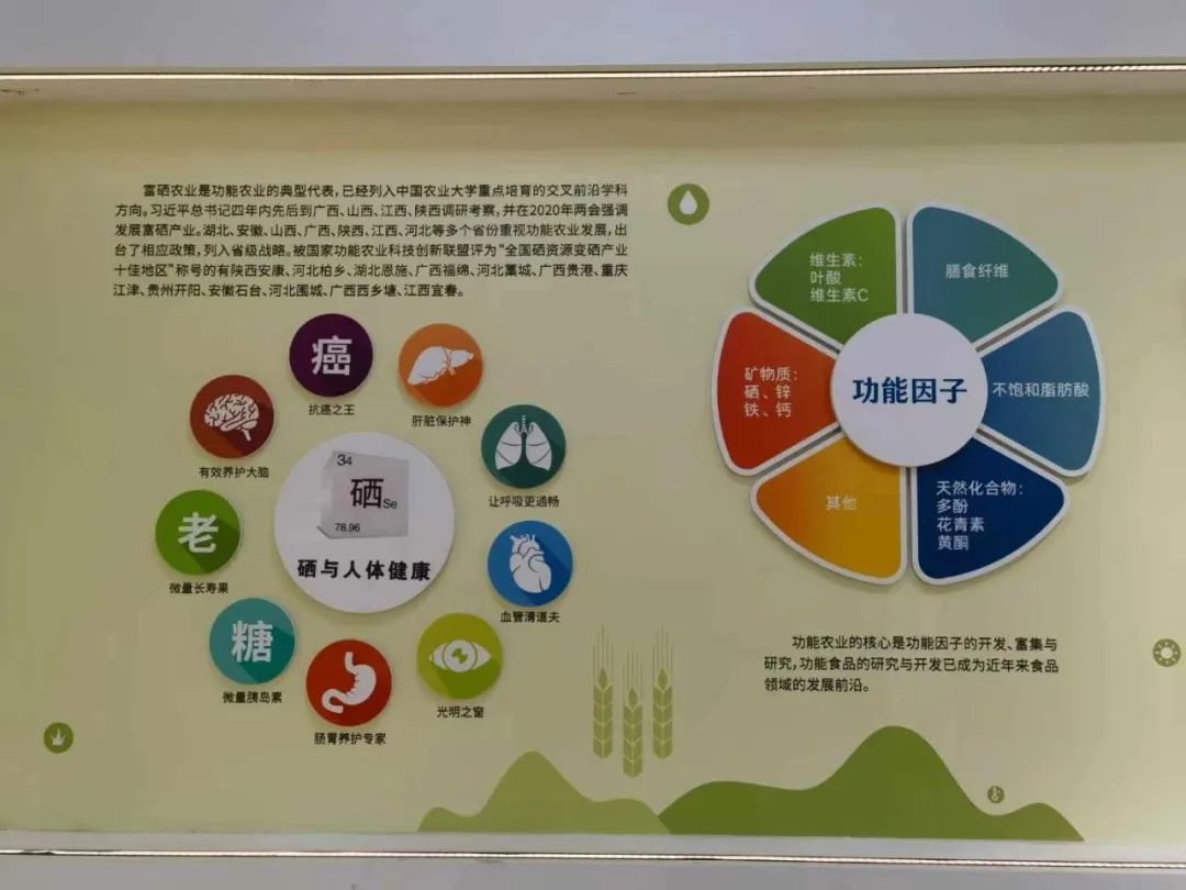 w66.利来(中国区)_来利国际旗舰厅